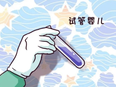 同志借卵代怀咨询哪家好